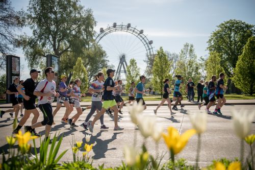 MARATONA DI VIENNA | 42K,21K,Staffetta 2024